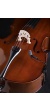 violoncello