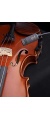 violin_20991421