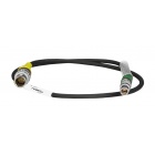 tc-sync-red-s-1-1024x427_1273461696