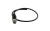 ump_out_nc-s-1024x427
