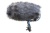 Schoeps Cinela COSI-L-21 MiniCMIT elastically suspended windscreen for MiniCMIT