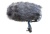 Schoeps Cinela COSI-L-21 MiniCMIT elastically suspended windscreen for MiniCMIT