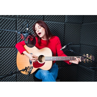 045003_studio_kit_usml_yellow_shark_2105510606