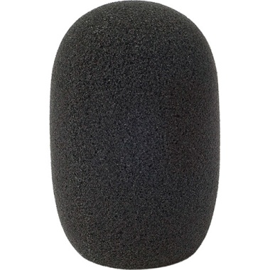 104403_3055_reporter_mic_foam