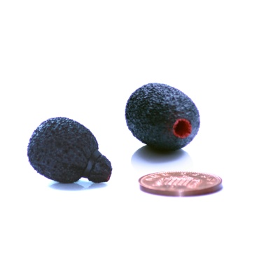 105525_105526_neoprene_coated_lavalier_foams