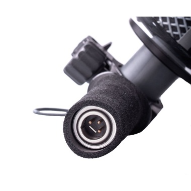 Schoeps CCM 2 Parabolic Dish Set