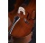 violoncello