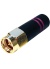 ant-2_4-sma-m
