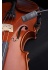 violin_20991421