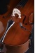 violoncello