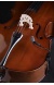 violoncello
