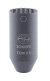 ccm2sg
