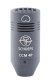 ccm4pweb