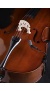 violoncello